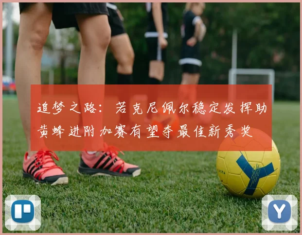 追梦之路：若克尼佩尔稳定发挥助黄蜂进附加赛有望夺最佳新秀奖