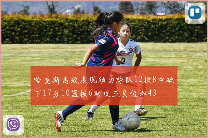 哈克斯高效表现助力球队12投8中砍下17分10篮板6助攻正负值加43
