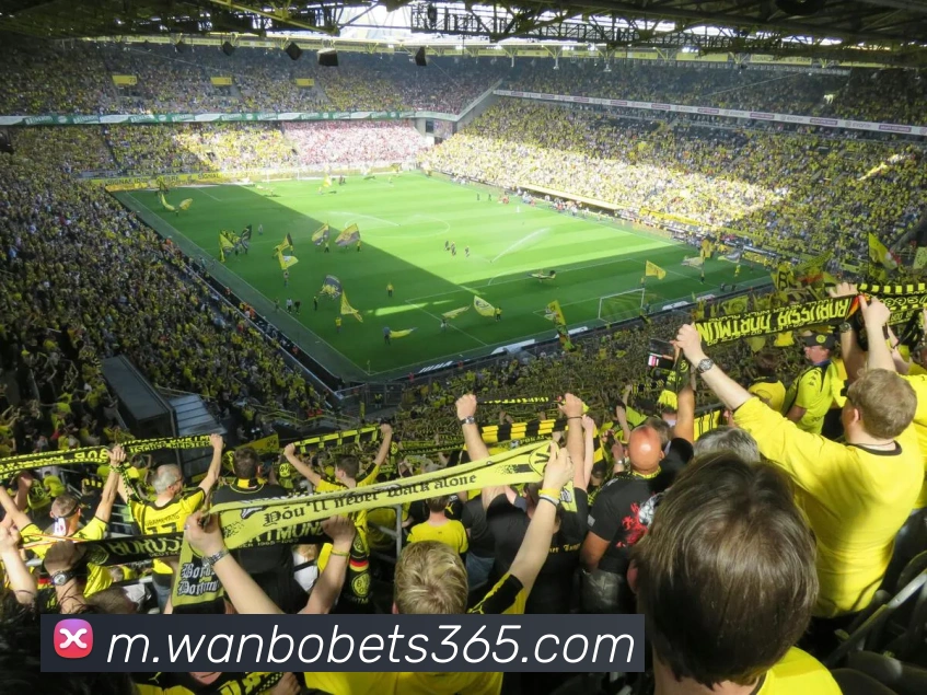 万博体育发展历程